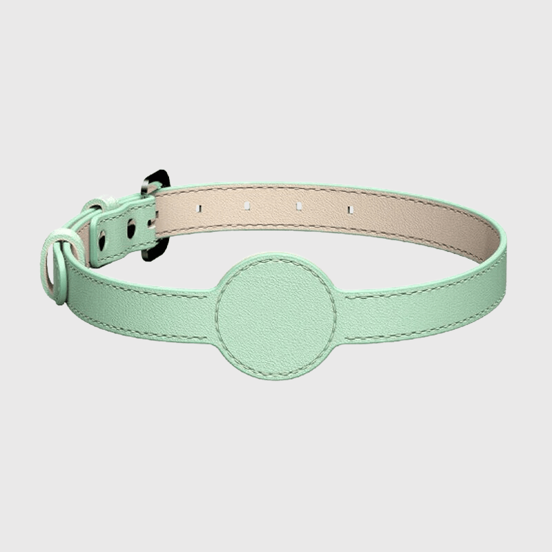 https://cdn.shopify.com/s/files/1/0763/9767/4819/files/Collier_AirTag_pour_chien_vert_pale.png?v=1745313332