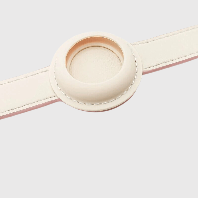 https://cdn.shopify.com/s/files/1/0763/9767/4819/files/Collier_AirTag_pour_chien_zoom.png?v=1745313332