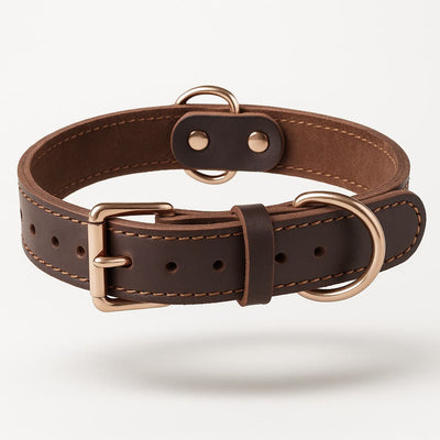 https://cdn.shopify.com/s/files/1/0923/9910/8483/files/Collier_En_Cuir_Pour_Gros_Chien.jpg?v=1747580203