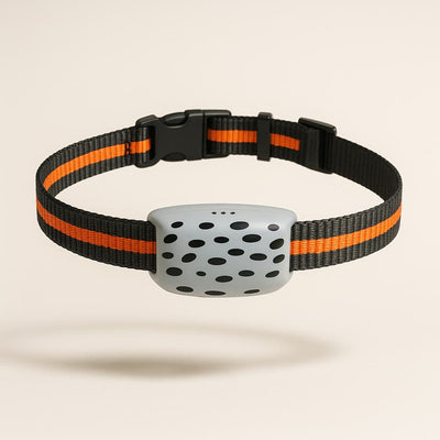 https://cdn.shopify.com/s/files/1/0923/9910/8483/files/Collier_GPS_4G_Pour_Chien.jpg?v=1747530027