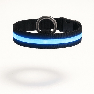 https://cdn.shopify.com/s/files/1/0923/9910/8483/files/Collier_Lumineux_Color_s_Pour_Chien.png?v=1747494033