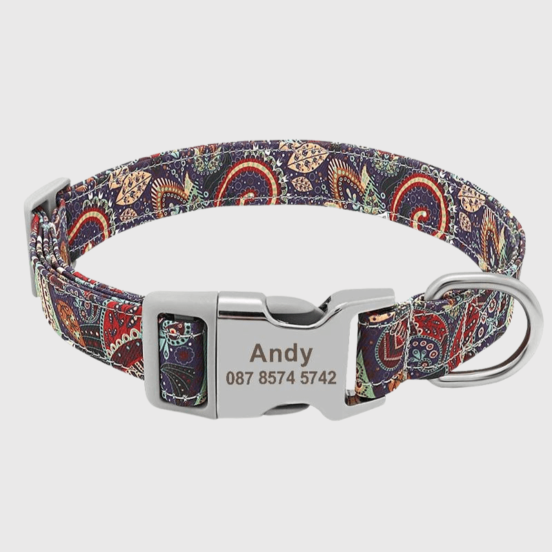 https://cdn.shopify.com/s/files/1/0763/9767/4819/files/Collier_Personnalise_pour_chien_Multicolor_style_3.png?v=1767115550