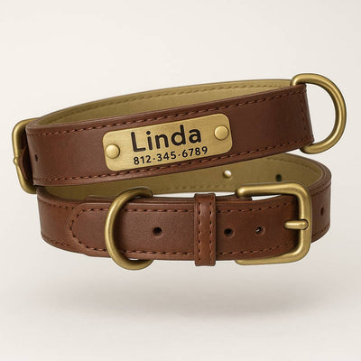 https://cdn.shopify.com/s/files/1/0923/9910/8483/files/Collier_Pour_Chien_En_Cuir_Personnalis.jpg?v=1748214075