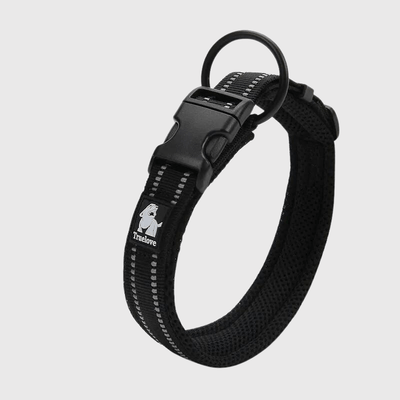 https://cdn.shopify.com/s/files/1/0763/9767/4819/files/Collier_True_Love_en_Nylon_noir.png?v=1701357659