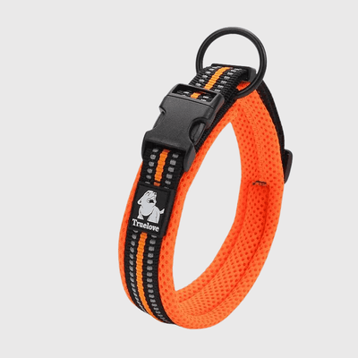 https://cdn.shopify.com/s/files/1/0763/9767/4819/files/Collier_True_Love_en_Nylon_orange.png?v=1701357659