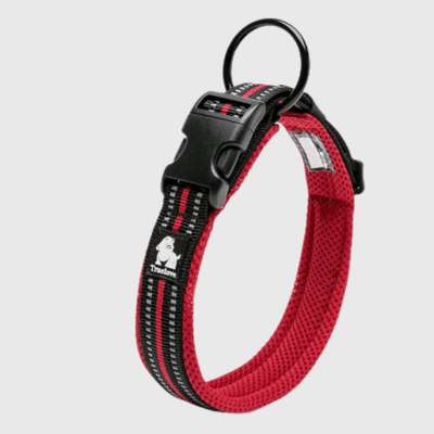 https://cdn.shopify.com/s/files/1/0763/9767/4819/files/Collier_True_Love_en_Nylon_rouge.png?v=1698417840