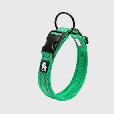 https://cdn.shopify.com/s/files/1/0763/9767/4819/files/Collier_True_Love_en_Nylon_vert.png?v=1701357659