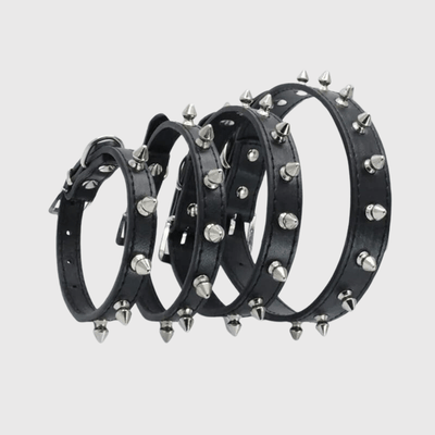 https://cdn.shopify.com/s/files/1/0763/9767/4819/files/Collier_a_pique_pour_chien_exemple.png?v=1749050641