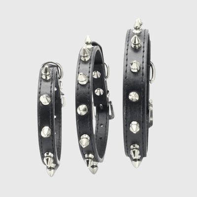 https://cdn.shopify.com/s/files/1/0763/9767/4819/files/Collier_a_pique_pour_chien_modele.png?v=1749050641