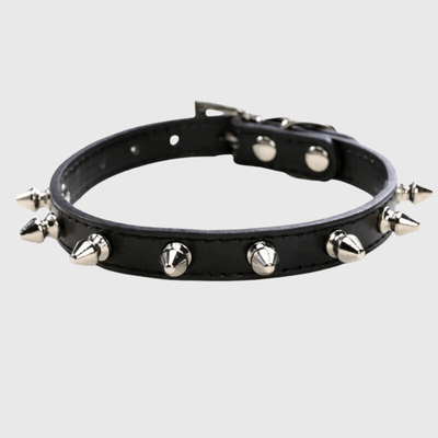https://cdn.shopify.com/s/files/1/0763/9767/4819/files/Collier_a_pique_pour_chien_noir.png?v=1749050641