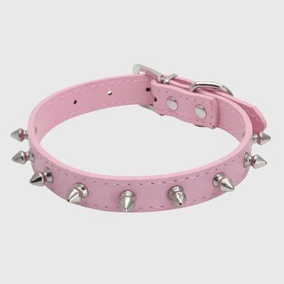 https://cdn.shopify.com/s/files/1/0763/9767/4819/files/Collier_a_pique_pour_chien_rose.png?v=1749050641