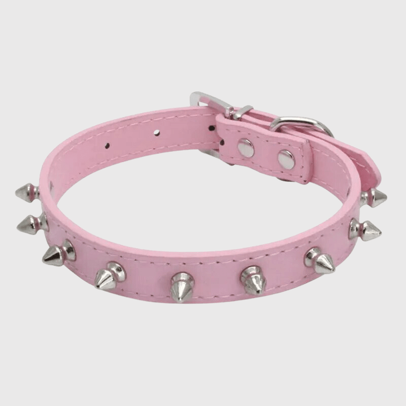 https://cdn.shopify.com/s/files/1/0763/9767/4819/files/Collier_pique_pour_chien_cane_corso.png?v=1749050669