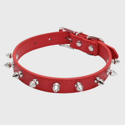 https://cdn.shopify.com/s/files/1/0763/9767/4819/files/Collier_a_pique_pour_chien_rouge.png?v=1749050641