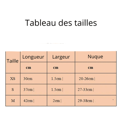 https://cdn.shopify.com/s/files/1/0763/9767/4819/files/Collier_a_pique_pour_chien_taille.png?v=1749050641