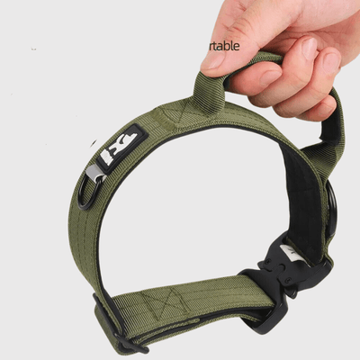 https://cdn.shopify.com/s/files/1/0763/9767/4819/files/Collier_avec_poignee_pour_chien_exemple_main.png?v=1745335473