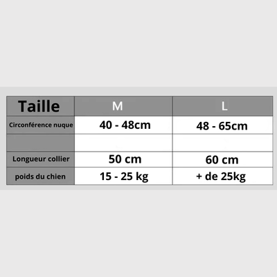 https://cdn.shopify.com/s/files/1/0763/9767/4819/files/Collier_avec_poignee_pour_chien_taille.png?v=1745335473