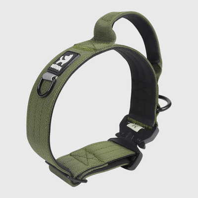 https://cdn.shopify.com/s/files/1/0763/9767/4819/files/Collier_avec_poignee_pour_chien_vert.png?v=1745335473