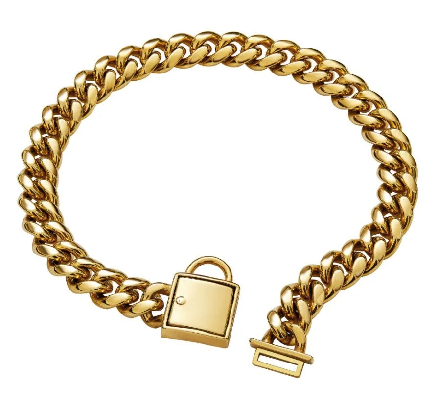 Collier chaine or pour chien