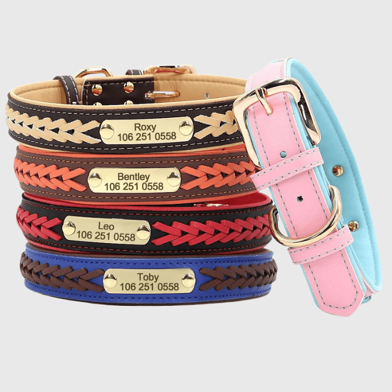 https://cdn.shopify.com/s/files/1/0763/9767/4819/files/Collier_chien_corde_shiba_inu.png?v=1755014649