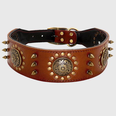 https://cdn.shopify.com/s/files/1/0763/9767/4819/files/Collier_chien_cuir_beige.png?v=1728489143