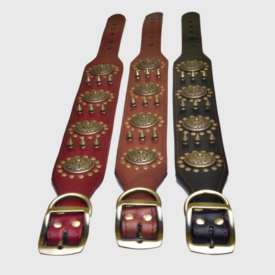 https://cdn.shopify.com/s/files/1/0763/9767/4819/files/Collier_chien_cuir_exemple.png?v=1728489221
