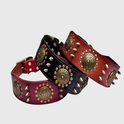 https://cdn.shopify.com/s/files/1/0763/9767/4819/files/Collier_chien_cuir_modele.png?v=1728489205