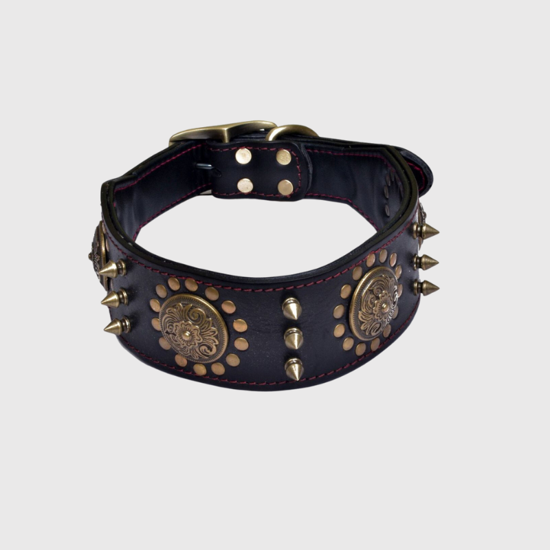 https://cdn.shopify.com/s/files/1/0763/9767/4819/files/Collier_chien_cuir_beige.png?v=1728489143