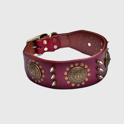 https://cdn.shopify.com/s/files/1/0763/9767/4819/files/Collier_chien_cuir_rouge.png?v=1728489171