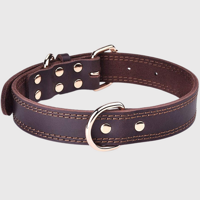 https://cdn.shopify.com/s/files/1/0763/9767/4819/files/Collier_chien_en_cuir_beige_clair.png?v=1690986012