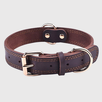 https://cdn.shopify.com/s/files/1/0763/9767/4819/files/Collier_chien_en_cuir_beige_clair_bis.png?v=1690986012