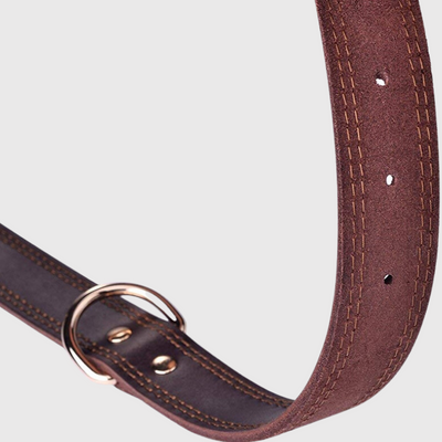 https://cdn.shopify.com/s/files/1/0763/9767/4819/files/Collier_chien_en_cuir_beige_laniere.png?v=1690986012