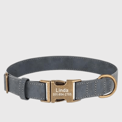 https://cdn.shopify.com/s/files/1/0763/9767/4819/files/Collier_chien_grave.png?v=1769013570