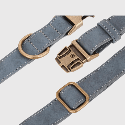 https://cdn.shopify.com/s/files/1/0763/9767/4819/files/Collier_chien_grave_accroche.png?v=1769013570