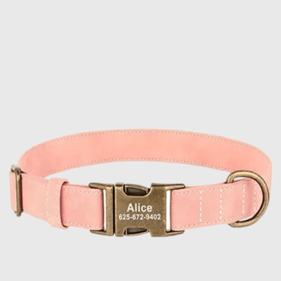 https://cdn.shopify.com/s/files/1/0763/9767/4819/files/Collier_chien_grave_rose.png?v=1769013570