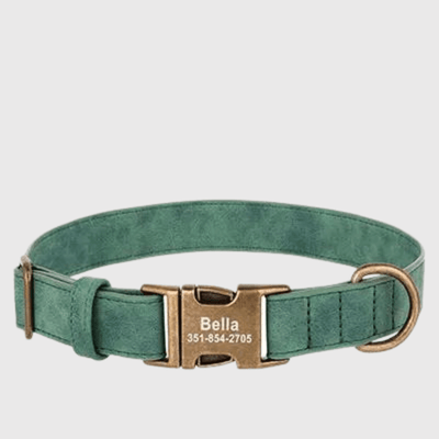 https://cdn.shopify.com/s/files/1/0763/9767/4819/files/Collier_chien_grave_vert.png?v=1769013570
