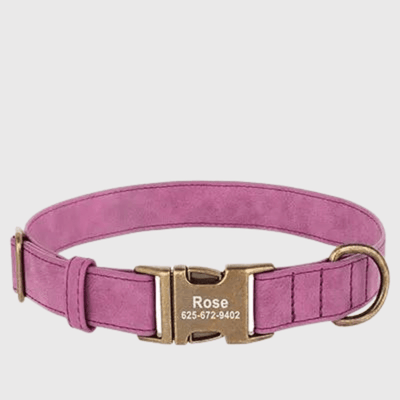 https://cdn.shopify.com/s/files/1/0763/9767/4819/files/Collier_chien_grave_violet.png?v=1769013570