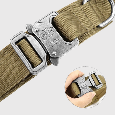 https://cdn.shopify.com/s/files/1/0763/9767/4819/files/Collier_chien_militaire_attache.png?v=1751384307