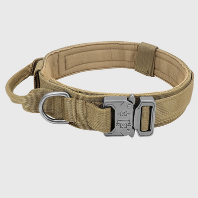 https://cdn.shopify.com/s/files/1/0763/9767/4819/files/Collier_chien_militaire_beige.png?v=1751384310