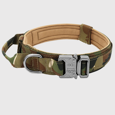 https://cdn.shopify.com/s/files/1/0763/9767/4819/files/Collier_chien_militaire_couleur.png?v=1751384310