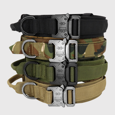 https://cdn.shopify.com/s/files/1/0763/9767/4819/files/Collier_chien_militaire_modele.png?v=1751384310
