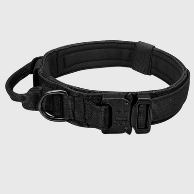 https://cdn.shopify.com/s/files/1/0763/9767/4819/files/Collier_chien_militaire_noir.png?v=1751384310