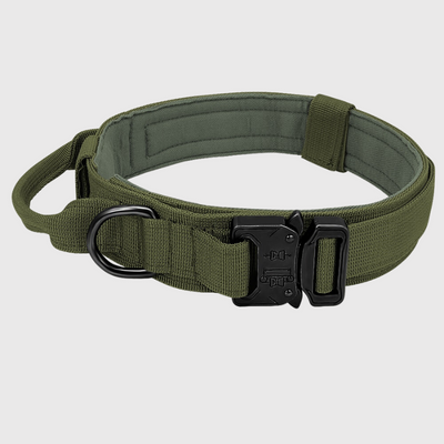 https://cdn.shopify.com/s/files/1/0763/9767/4819/files/Collier_chien_militaire_vert_kaki.png?v=1751384310
