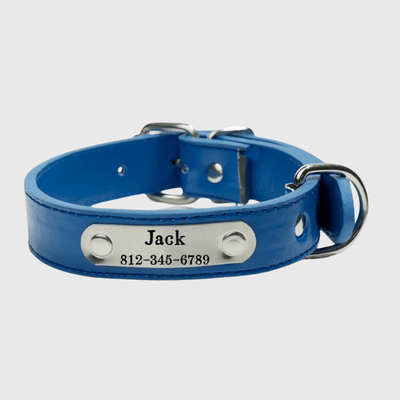 https://cdn.shopify.com/s/files/1/0763/9767/4819/files/Collier_chien_personnalise_prenom_bleu.png?v=1745316248
