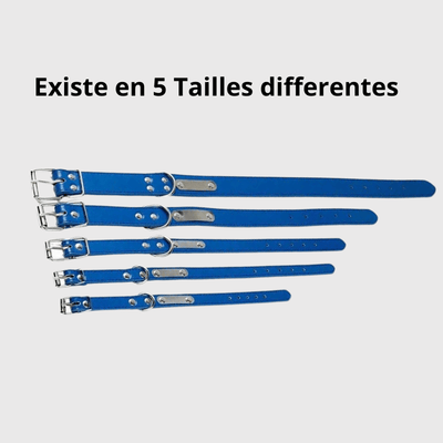 https://cdn.shopify.com/s/files/1/0763/9767/4819/files/Collier_chien_personnalise_prenom_canin.png?v=1745316248
