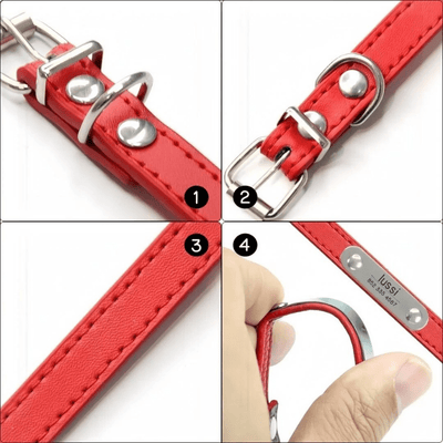 https://cdn.shopify.com/s/files/1/0763/9767/4819/files/Collier_chien_personnalise_prenom_details.png?v=1745316248