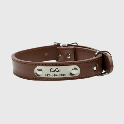 https://cdn.shopify.com/s/files/1/0763/9767/4819/files/Collier_chien_personnalise_prenom_marron.png?v=1745316248