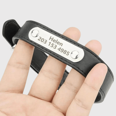 https://cdn.shopify.com/s/files/1/0763/9767/4819/files/Collier_chien_personnalise_prenom_modele.png?v=1745316248