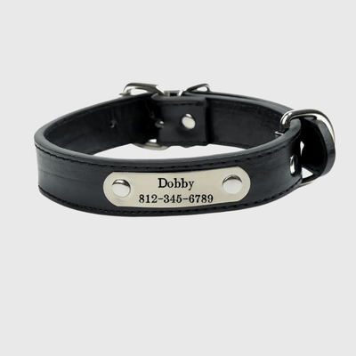 https://cdn.shopify.com/s/files/1/0763/9767/4819/files/Collier_chien_personnalise_prenom_noir.png?v=1745316248