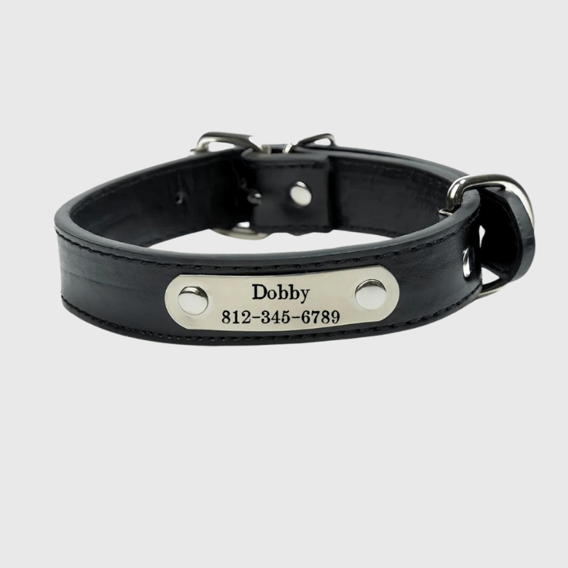 https://cdn.shopify.com/s/files/1/0763/9767/4819/files/Collier_chien_personnalise_prenom_labrador.png?v=1745316290