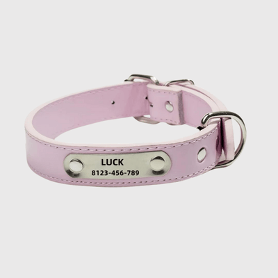 https://cdn.shopify.com/s/files/1/0763/9767/4819/files/Collier_chien_personnalise_prenom_rose.png?v=1745316248